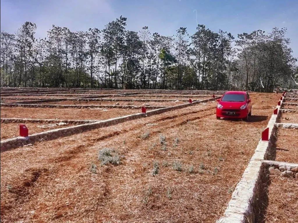 screenshot 2025 09 27 at 5.42.09 pm