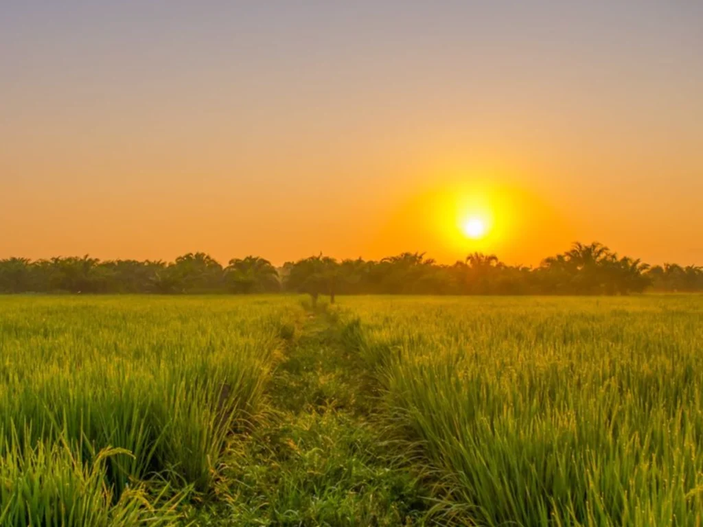 screenshot 2025 09 27 at 5.51.22 pm